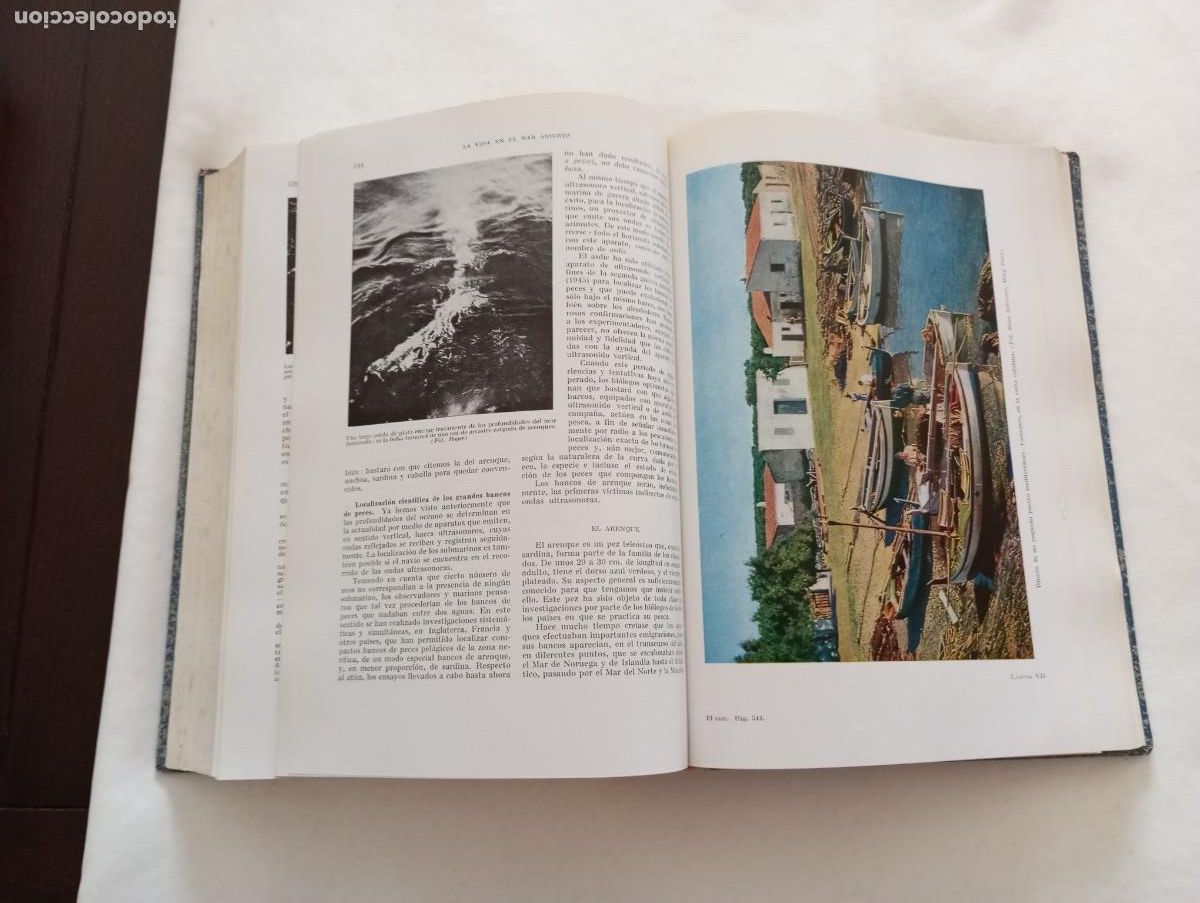 Libros de segunda mano: EL MAR. ED.Labor 1961. - Foto 6