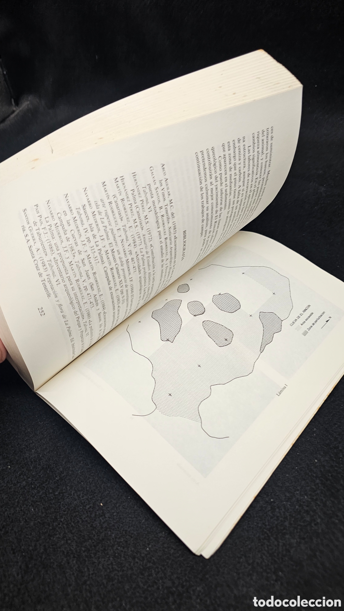Libros de segunda mano: Investigaciones arqueol&oacute;gicas en Canarias - Foto 3