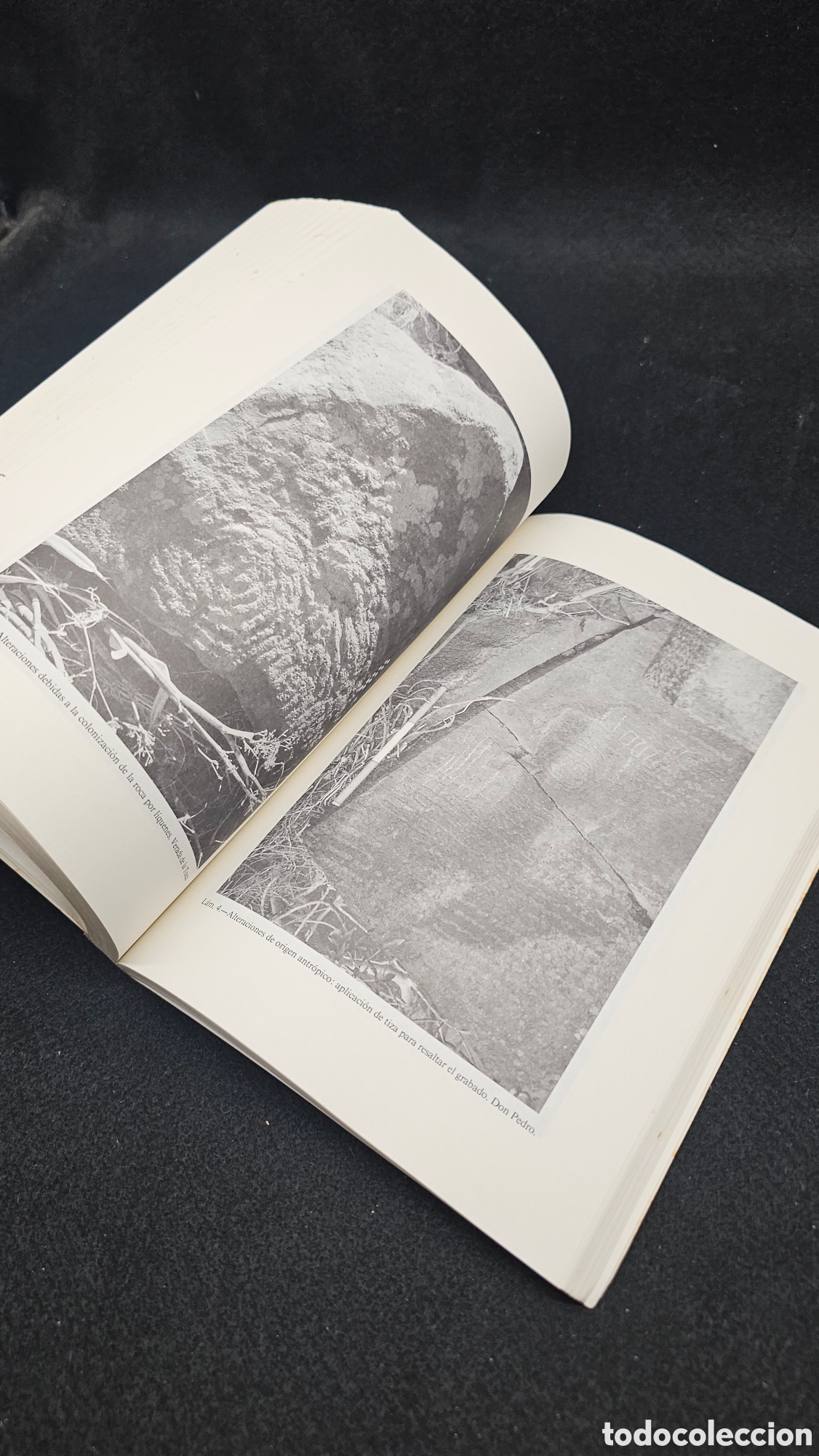 Libros de segunda mano: Investigaciones arqueol&oacute;gicas en Canarias - Foto 8