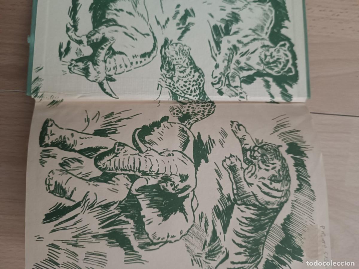 Libros de segunda mano: Shikar y Safari libro - Foto 3