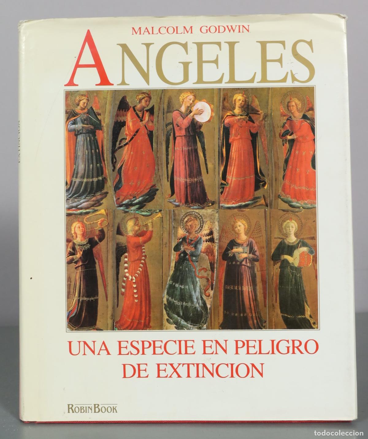 Livres d'occasion: Angeles: Una especie en peligro de extincion - Malcolm Godwin - RobinBook