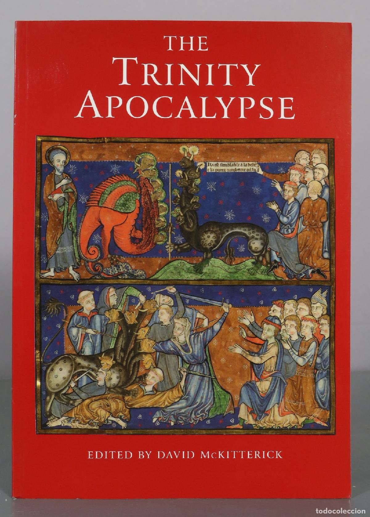 Libros de segunda mano: The Trinity Apocalypse - David McKitterick - Foto 1