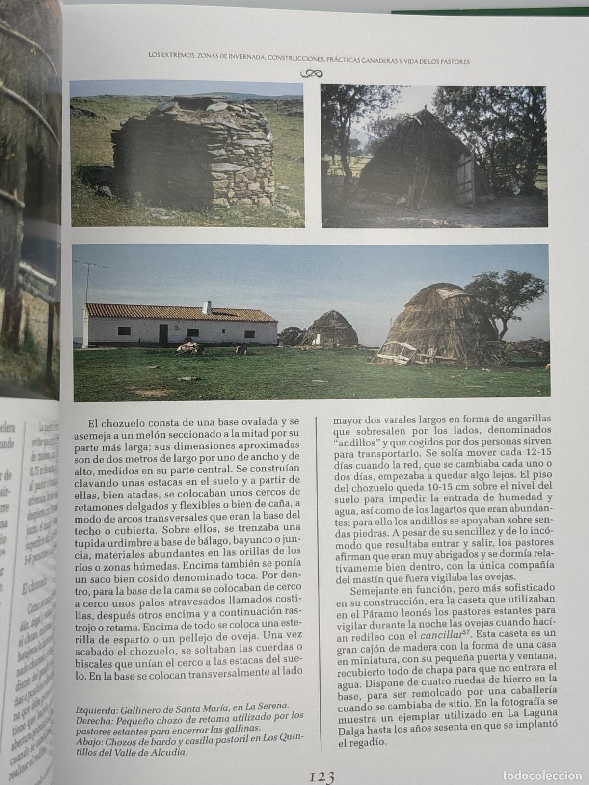 Libros de segunda mano: La trashumancia - Manuel Rodr&iacute;guez Pascual - Foto 3