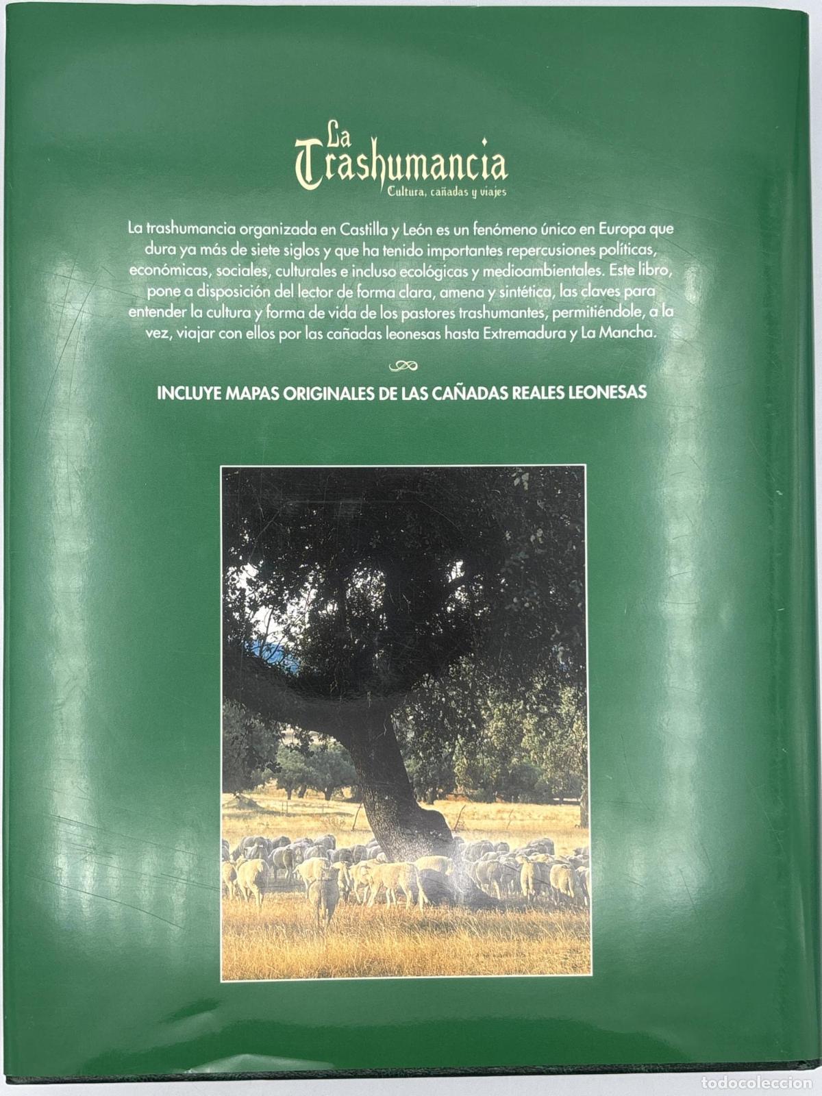 Libros de segunda mano: La trashumancia - Manuel Rodr&iacute;guez Pascual - Foto 4