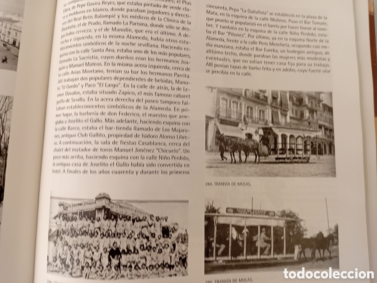 Libros de segunda mano: SEVILLA AYER Y HOY. NICOLAS SALAS - Foto 4