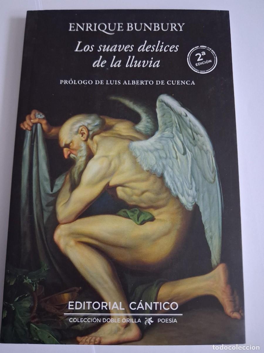 Libros de segunda mano: LOS SUAVES DESLICES DE LA LLUVIA - BUNBURY, ENRIQUE