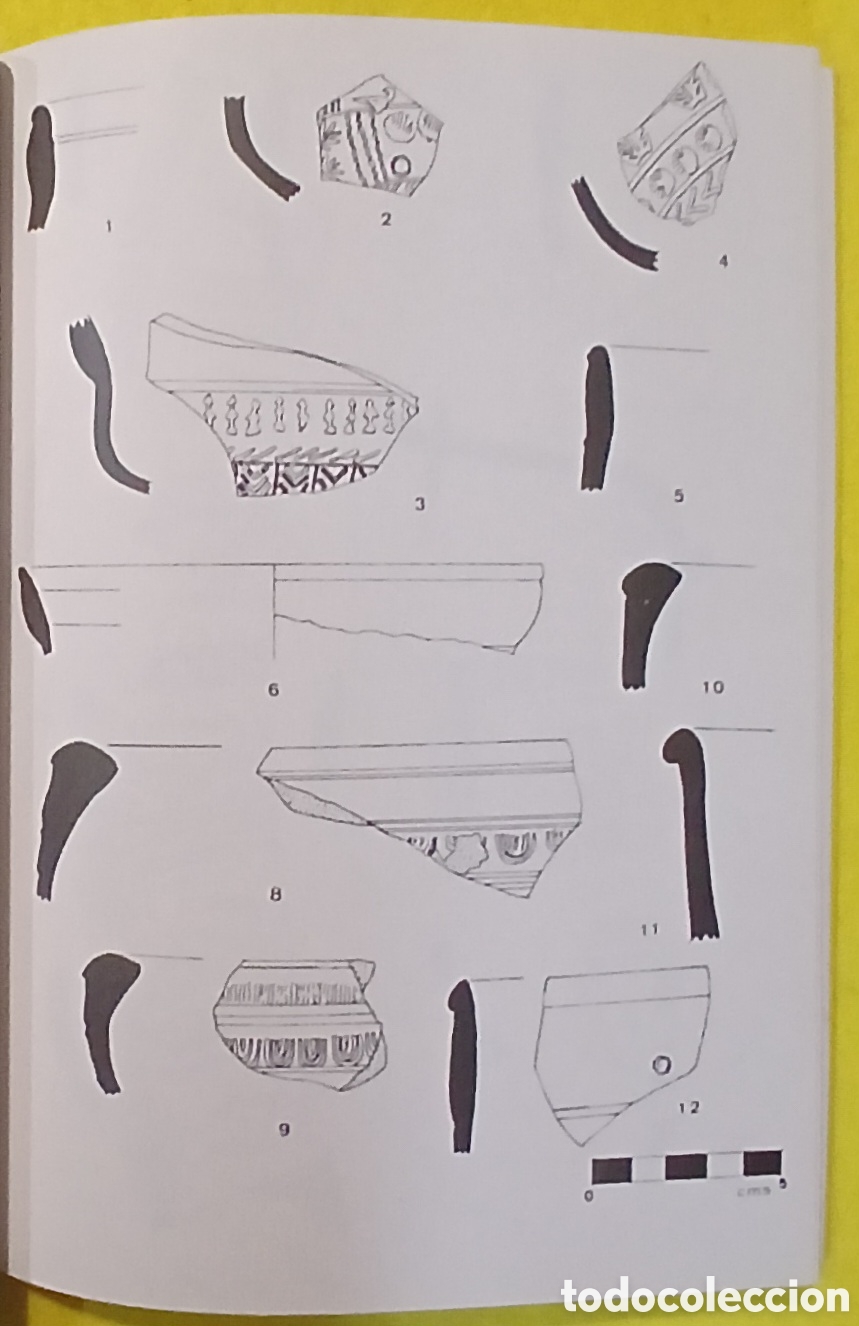 Libros de segunda mano: ELS MATERIALS DEL JACIMENT ROMA DE RA&Iuml;MAT LLEIDA - Foto 7