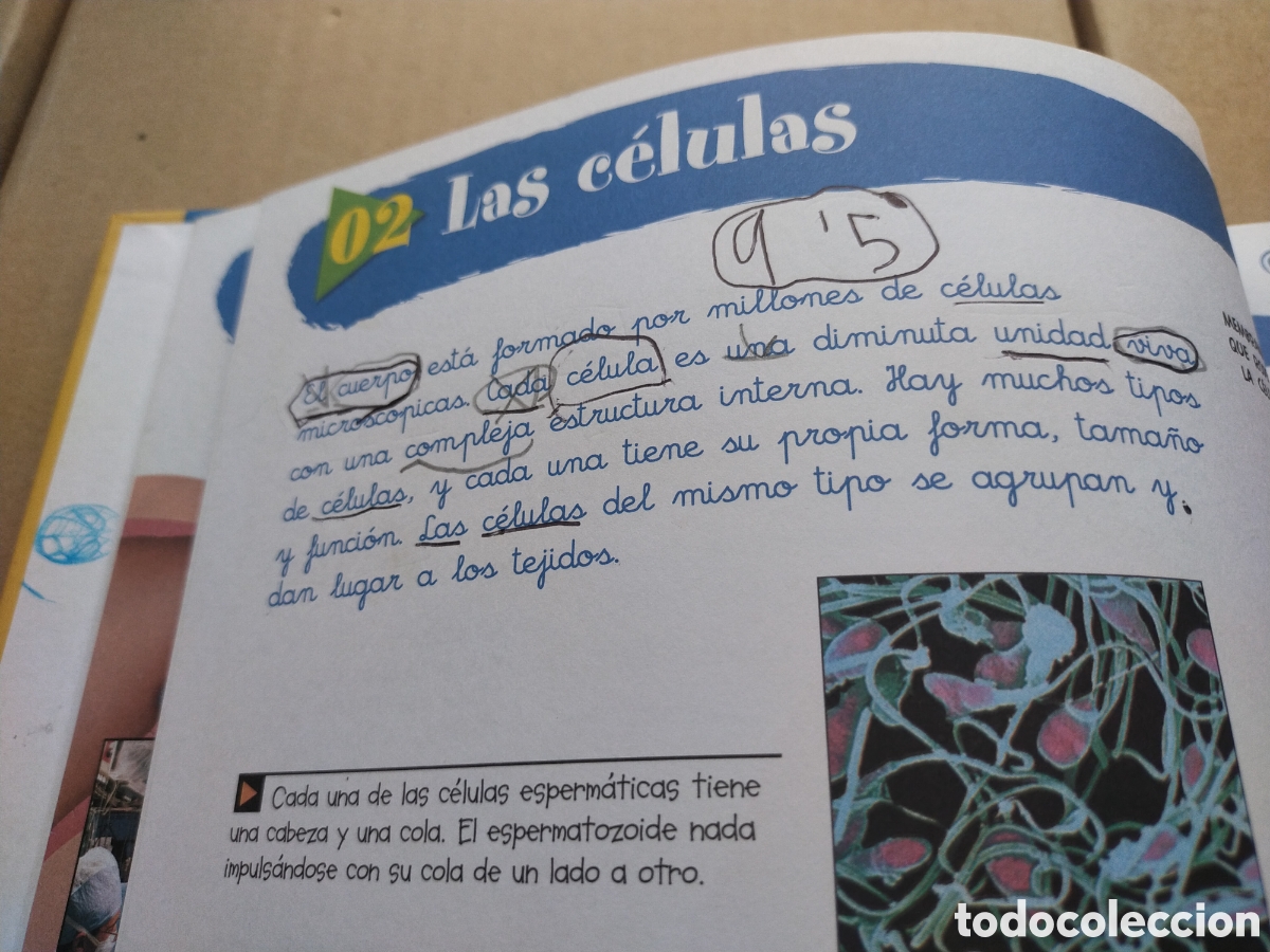 Libros de segunda mano: Gran libro del cuerpo humano - Foto 3