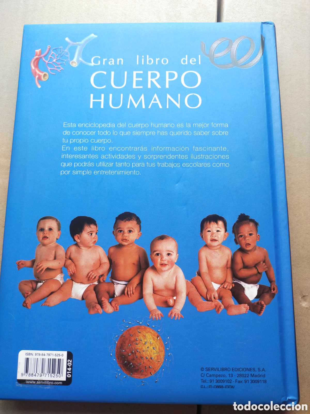 Libros de segunda mano: Gran libro del cuerpo humano - Foto 4