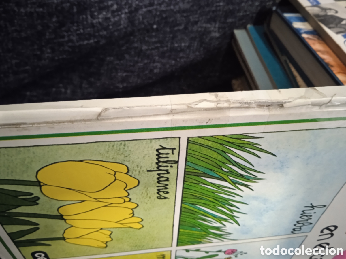 Libros de segunda mano: PIPO EN EL CAMPO - edita: ceac 1979 - - Foto 3