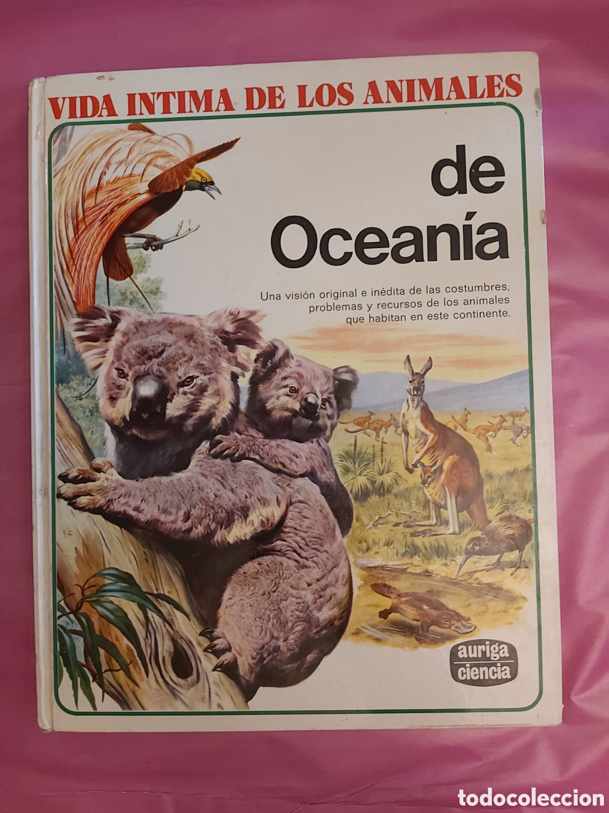 Second hand books: VIDA INTIMA DE LOS ANIMALES DE OCEAN&Iacute;A 15 AURIGA 1977