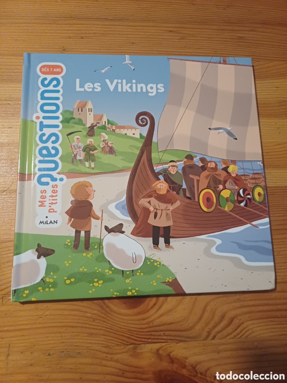Gebrauchte B&uuml;cher: Les Vikings Mes P'tites questions Milan Seroul Guiller Ragondet Los vikingos en frances