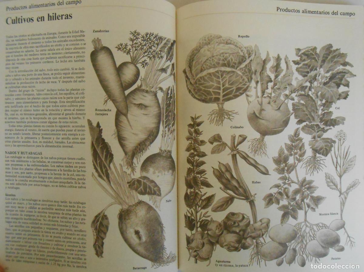 Libros de segunda mano: LA VIDA EN EL CAMPO - JOHN SEYMOUR - EDITORIAL BLUME - Foto 5