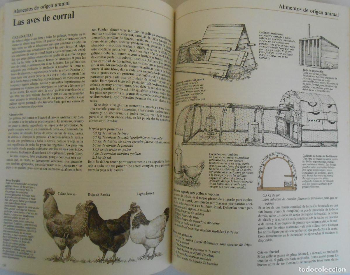 Libros de segunda mano: LA VIDA EN EL CAMPO - JOHN SEYMOUR - EDITORIAL BLUME - Foto 6