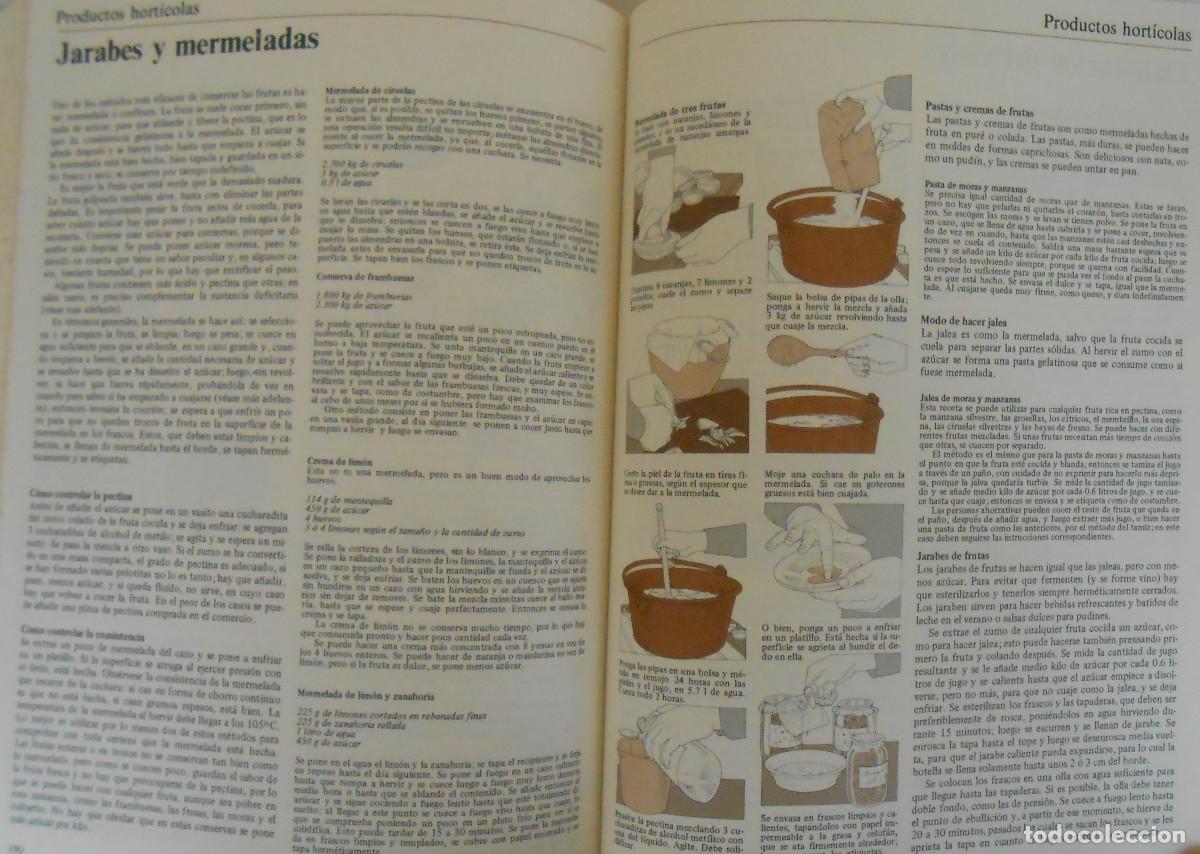 Libros de segunda mano: LA VIDA EN EL CAMPO - JOHN SEYMOUR - EDITORIAL BLUME - Foto 7