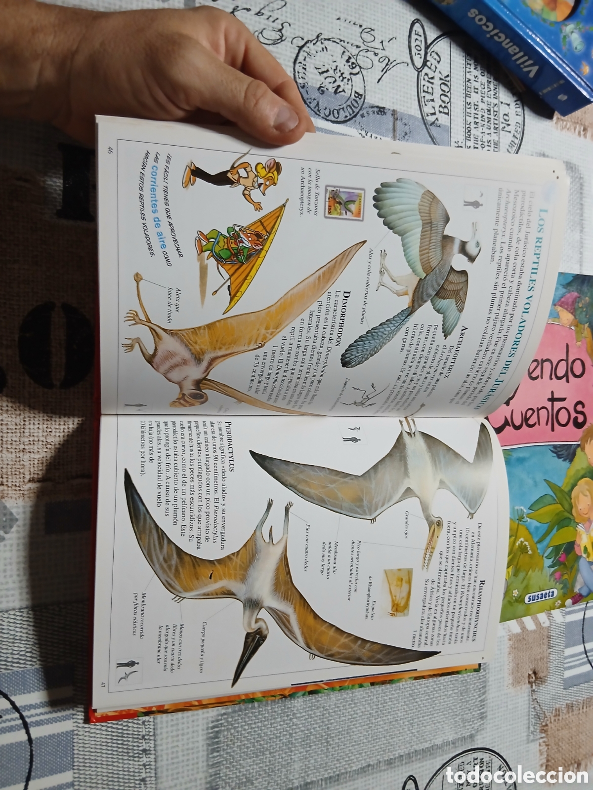 Libros de segunda mano: Libro Dinosaurios -Geronimo Stilton- 1&deg; Ed. 2011 - Foto 5