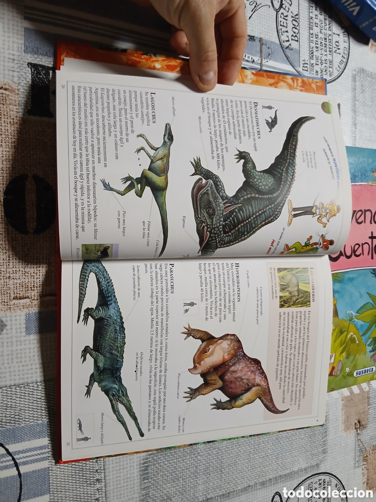 Libros de segunda mano: Libro Dinosaurios -Geronimo Stilton- 1&deg; Ed. 2011 - Foto 6