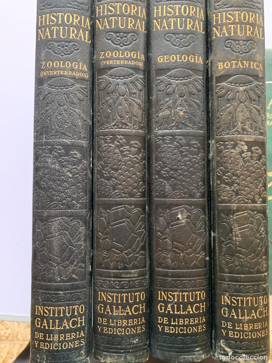 Libros de segunda mano: Historia Natural. De Instituto Gallach. Obra completa