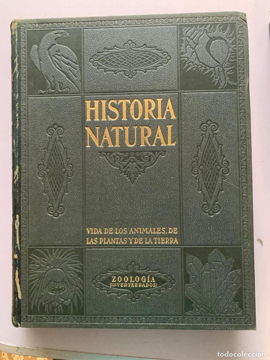 Libros de segunda mano: Historia Natural. De Instituto Gallach. Obra completa - Foto 2