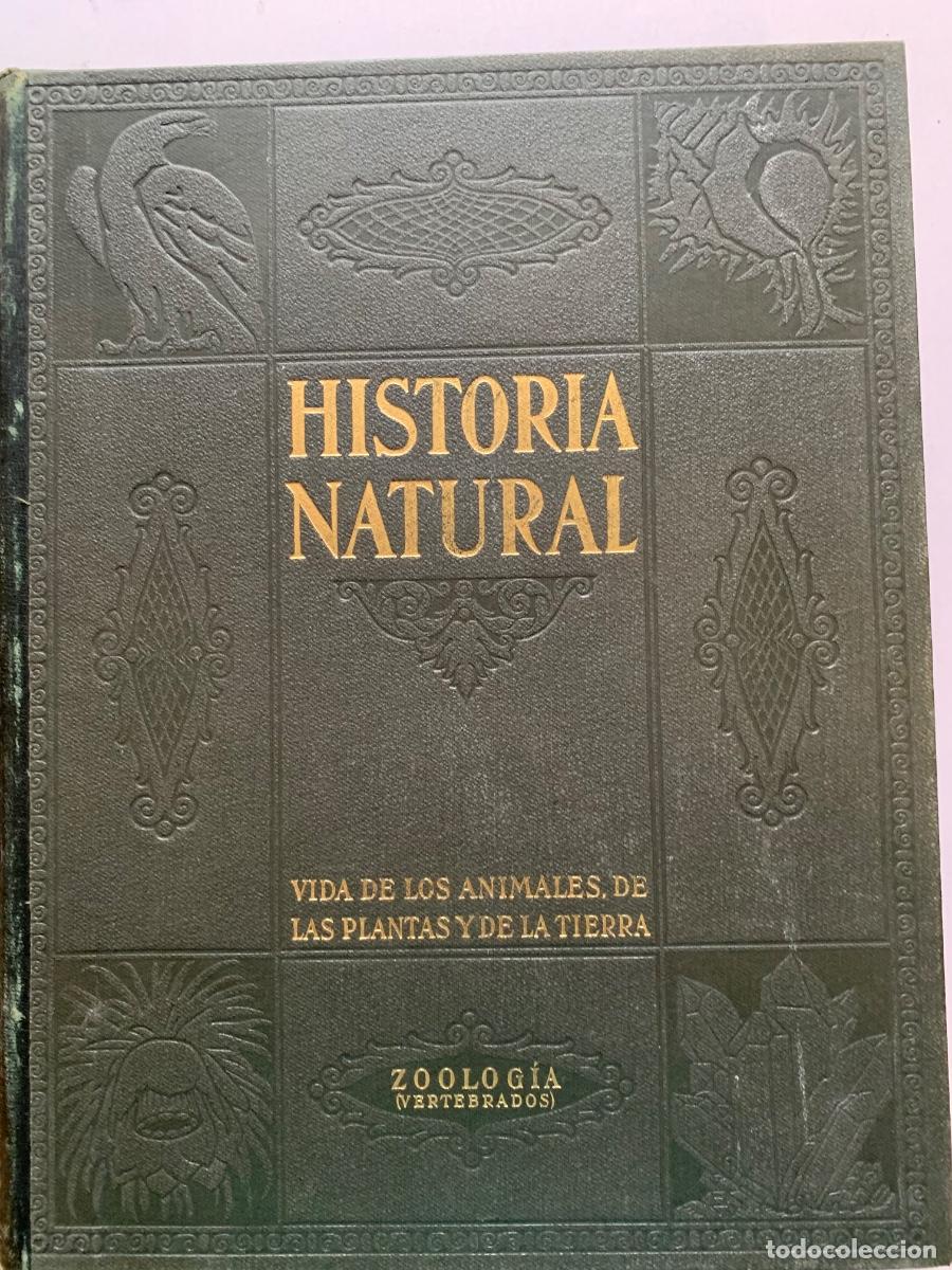 Libros de segunda mano: Historia Natural. De Instituto Gallach. Obra completa - Foto 3