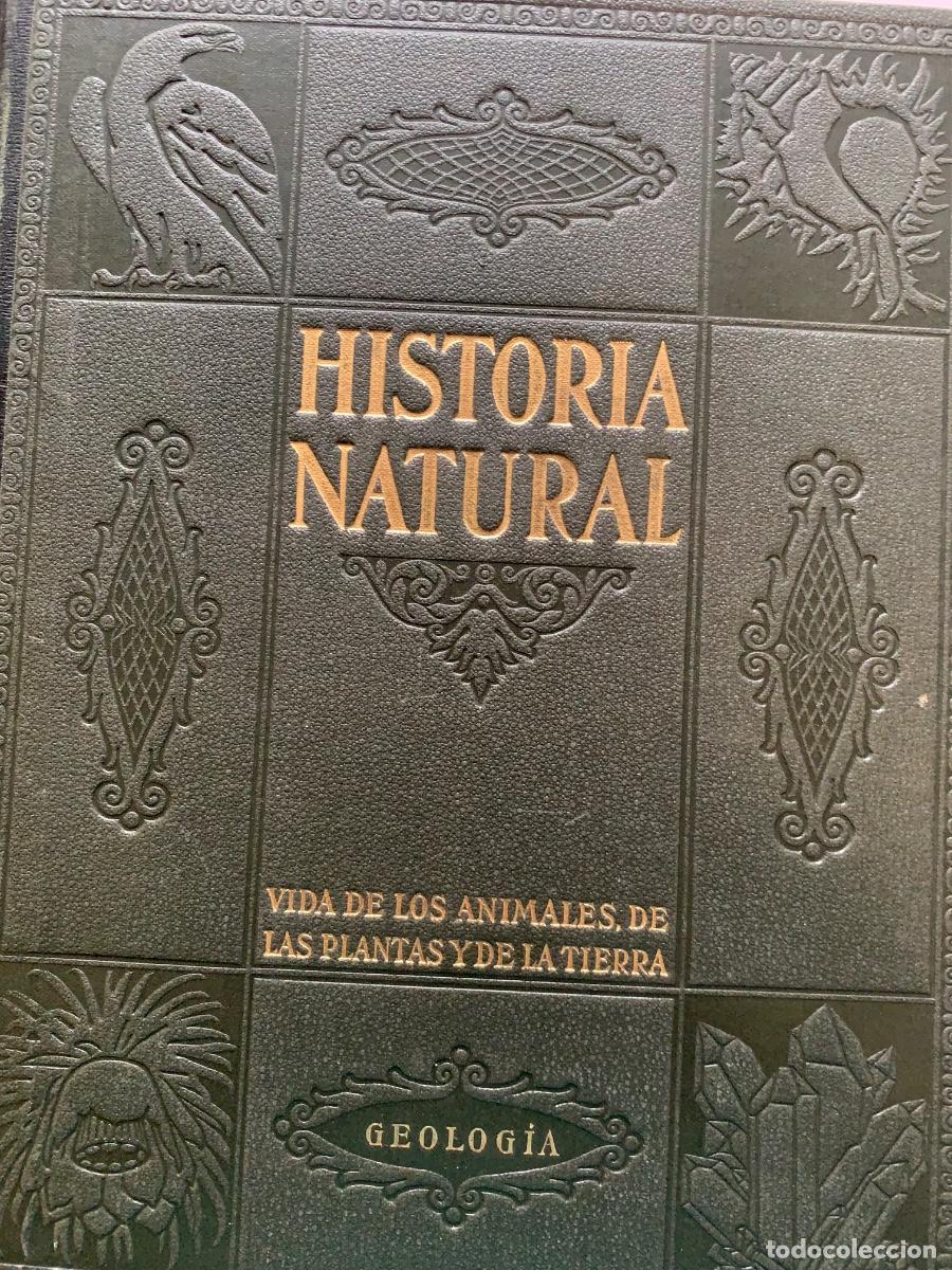 Libros de segunda mano: Historia Natural. De Instituto Gallach. Obra completa - Foto 4
