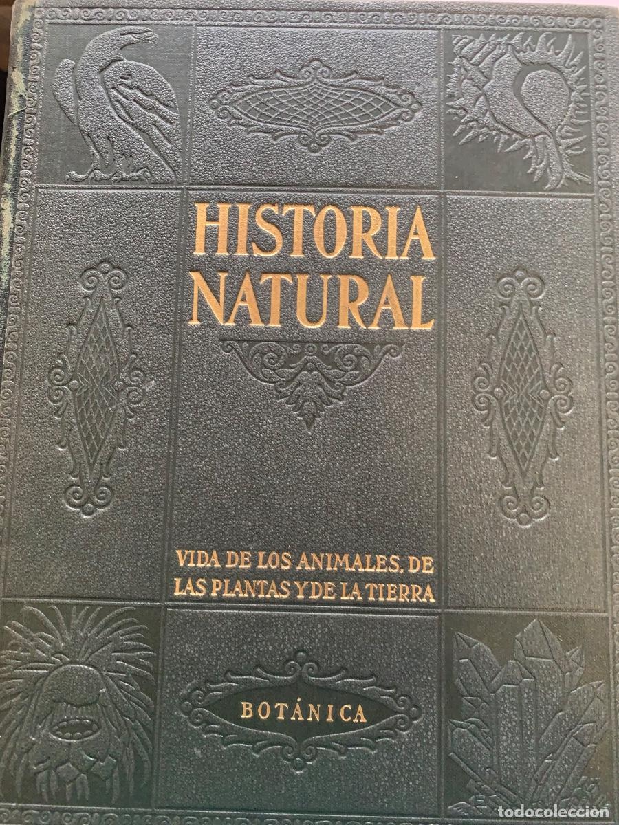 Libros de segunda mano: Historia Natural. De Instituto Gallach. Obra completa - Foto 5