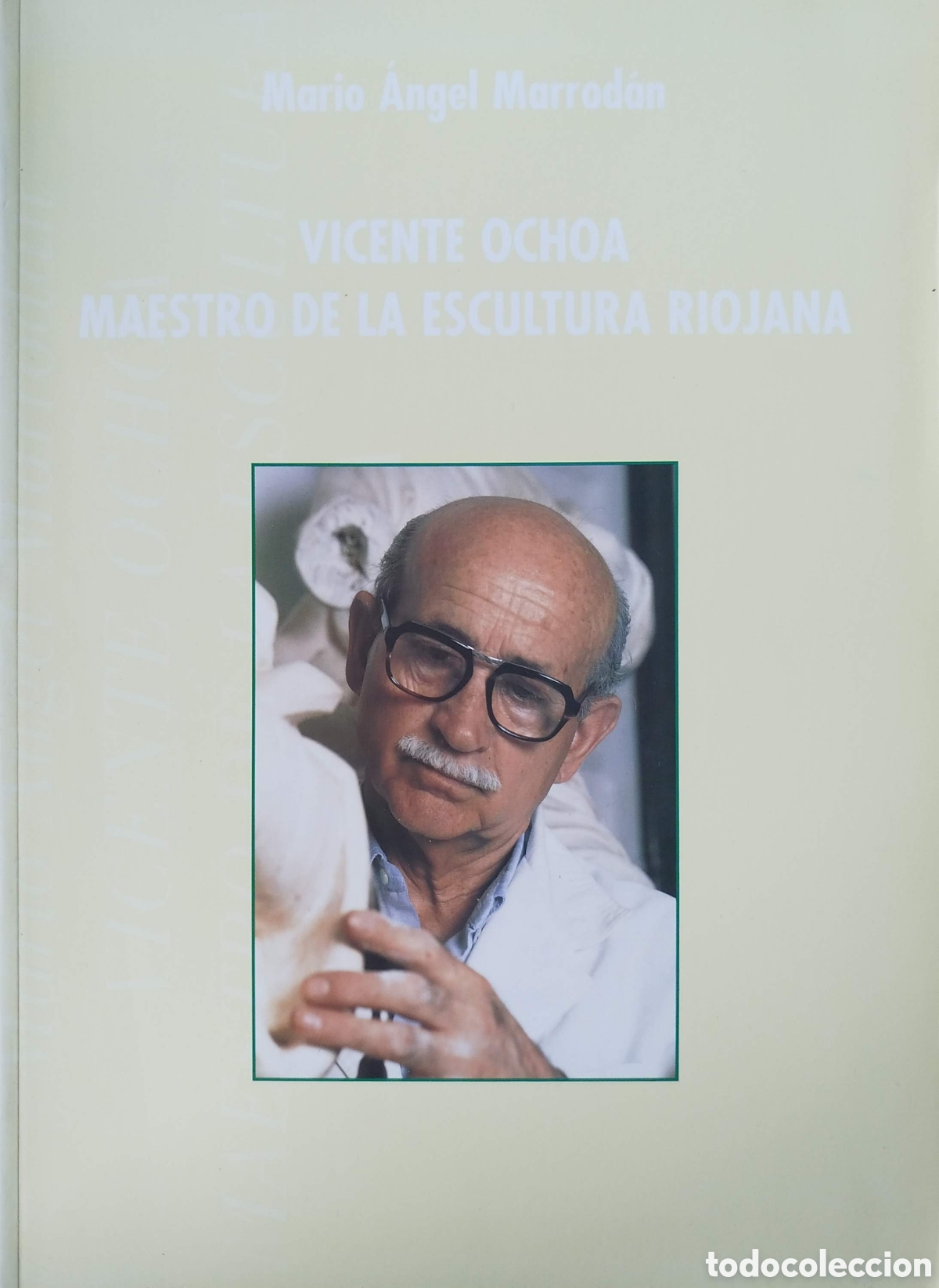 Libros de segunda mano: Vicente Ochoa, maestro de la escultura riojana.Mario &Aacute;ngel Marrod&aacute;n.Gobierno de La Rioja.1998.