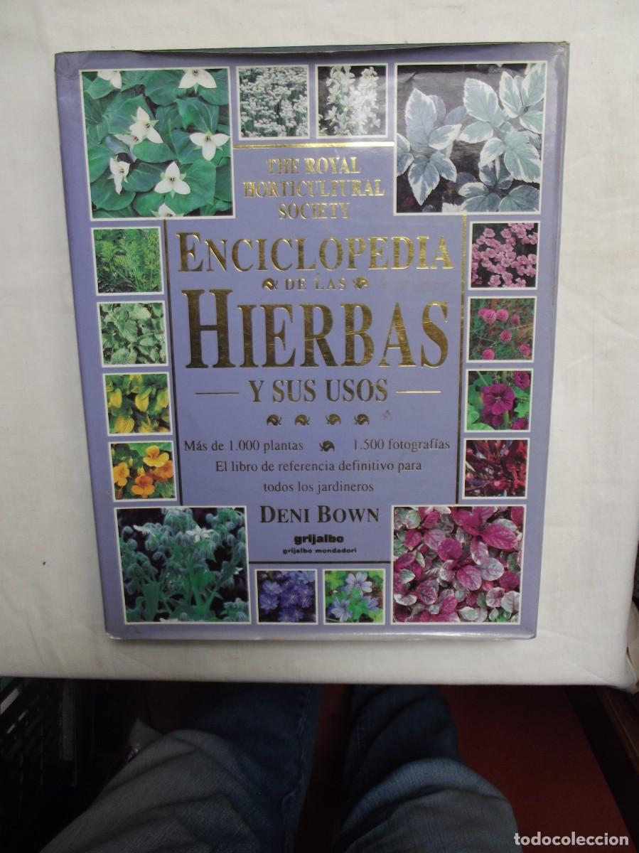 Libros de segunda mano: ENCICLOPEDIA DE LAS HIERBAS Y SUS USOS DE DENI BOWN