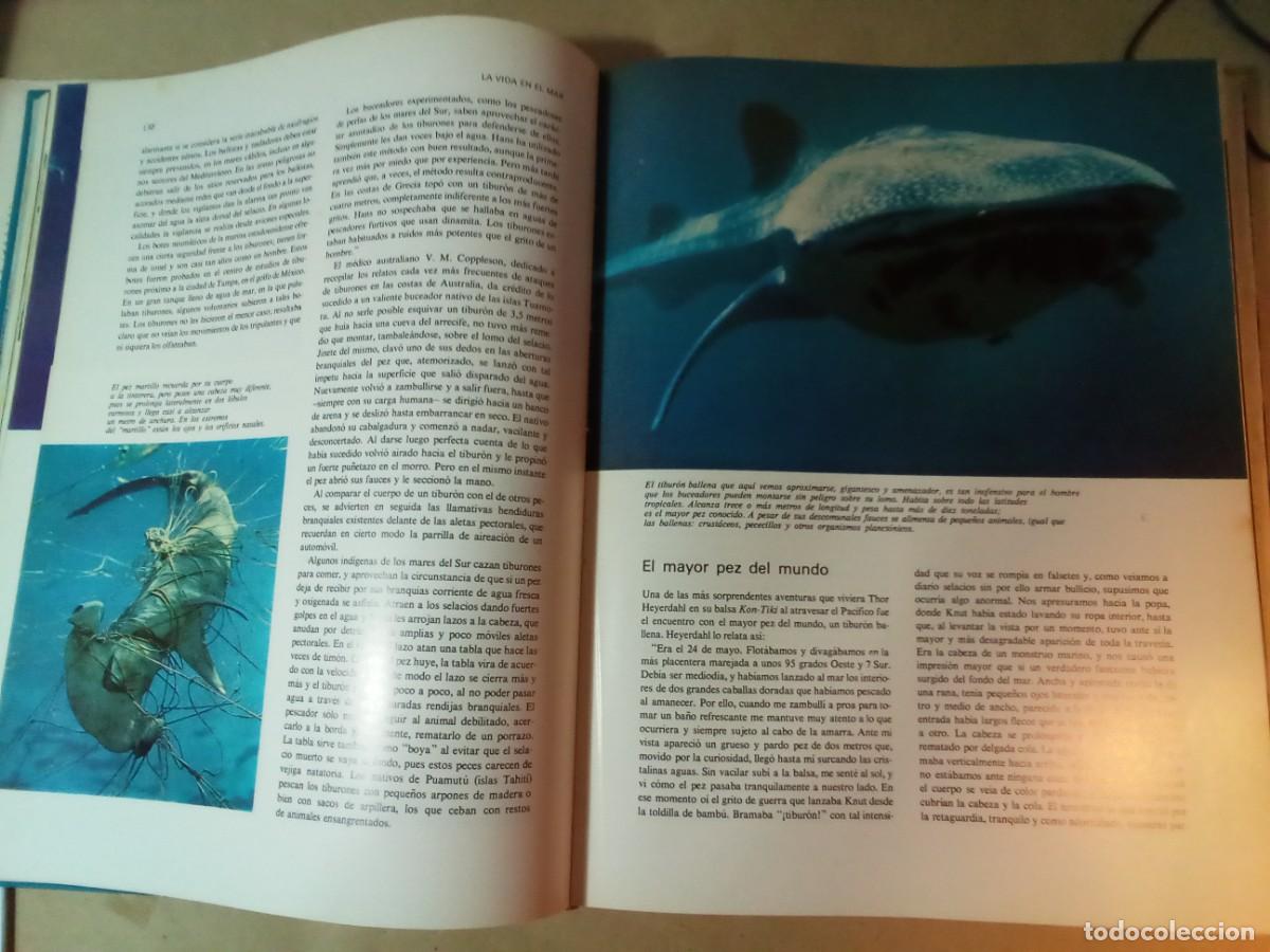 Libros de segunda mano: EL GRAN LIBRO DE LOS OC&Eacute;ANOS DE SELECCIONES DEL READERS DIGEST - Foto 12