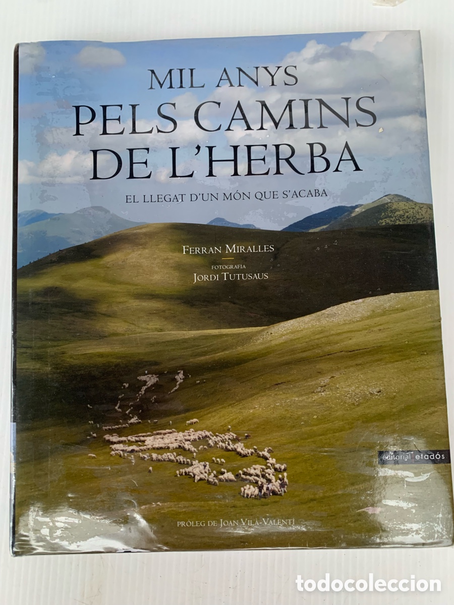 Libros de segunda mano: Mil anys pels camins de l'herba El llegat d'un m&oacute;n que s'acaba . Pastors