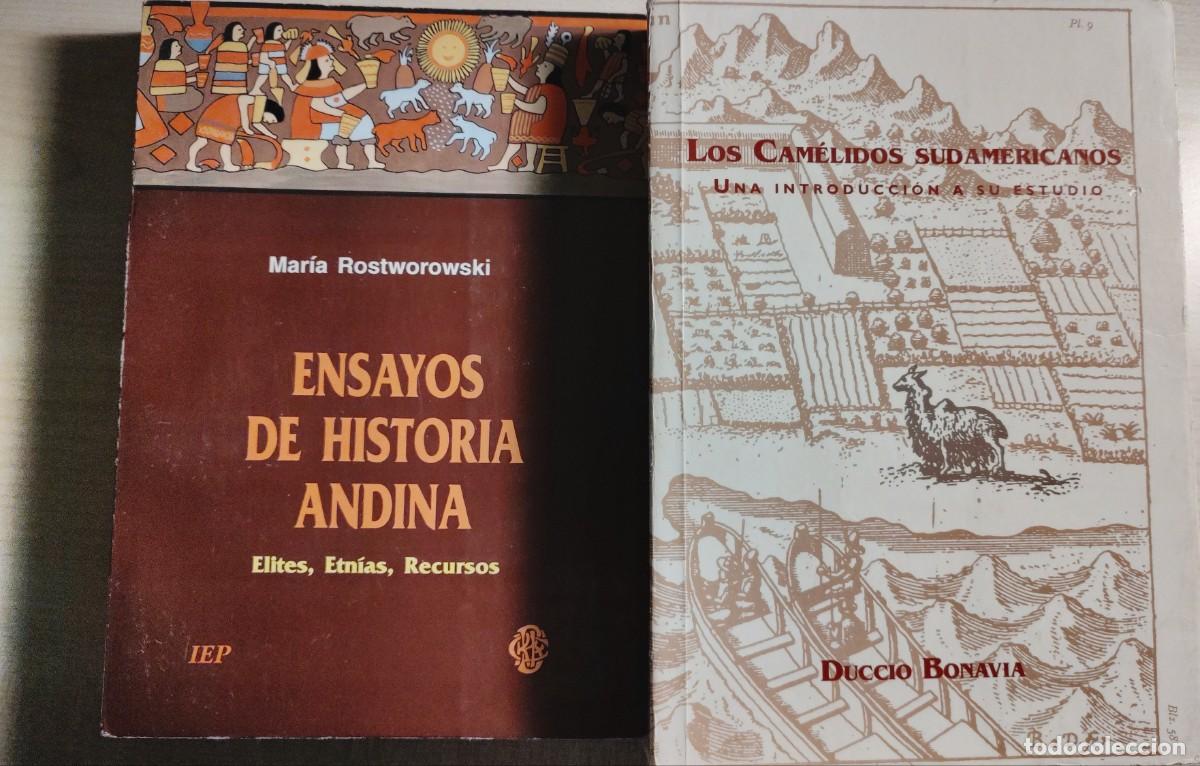 Libros de segunda mano: Historia Andina e Inca