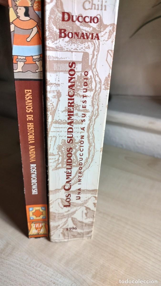 Libros de segunda mano: Historia Andina e Inca - Foto 3