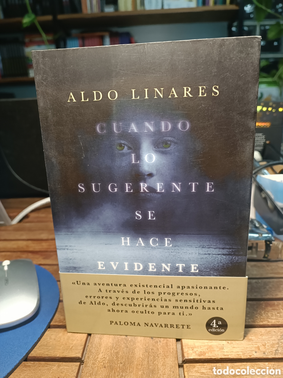 Libros de segunda mano: CUANDO LO SUGERENTE SE HACE EVIDENTE - ALDO LINARES EDICIONES LUCI&Eacute;RNAGA 2022 Paloma Navarrete