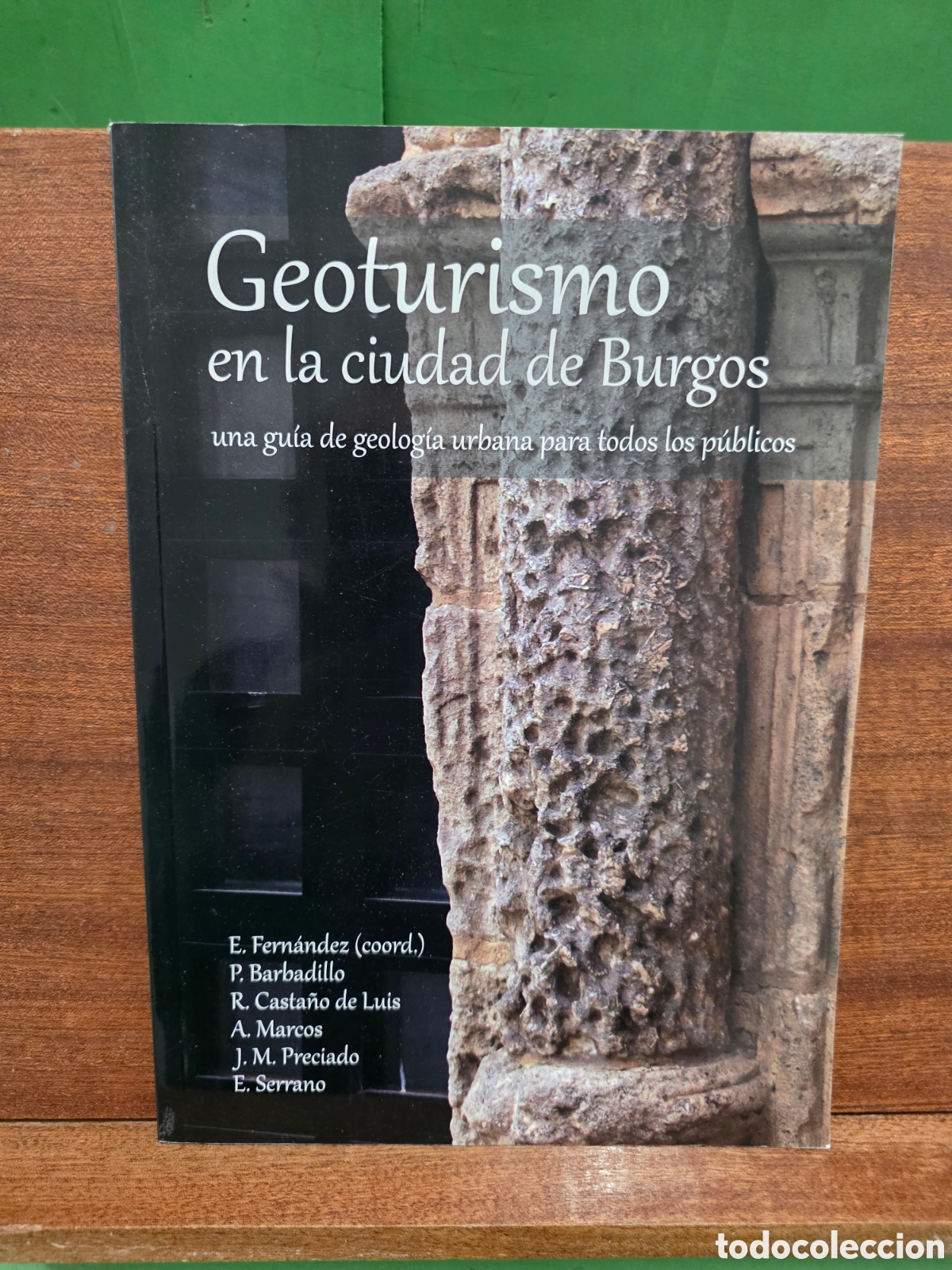 Libros de segunda mano: &rdquo;&rdquo;GEOTURISMO EN LA CIUDAD DE BURGOS&rdquo;&rdquo;...UNA GU&Iacute;A DE GEOLOG&Iacute;A URBANA PARA TODOS LOS P&Uacute;BLICOS...VV.AA.