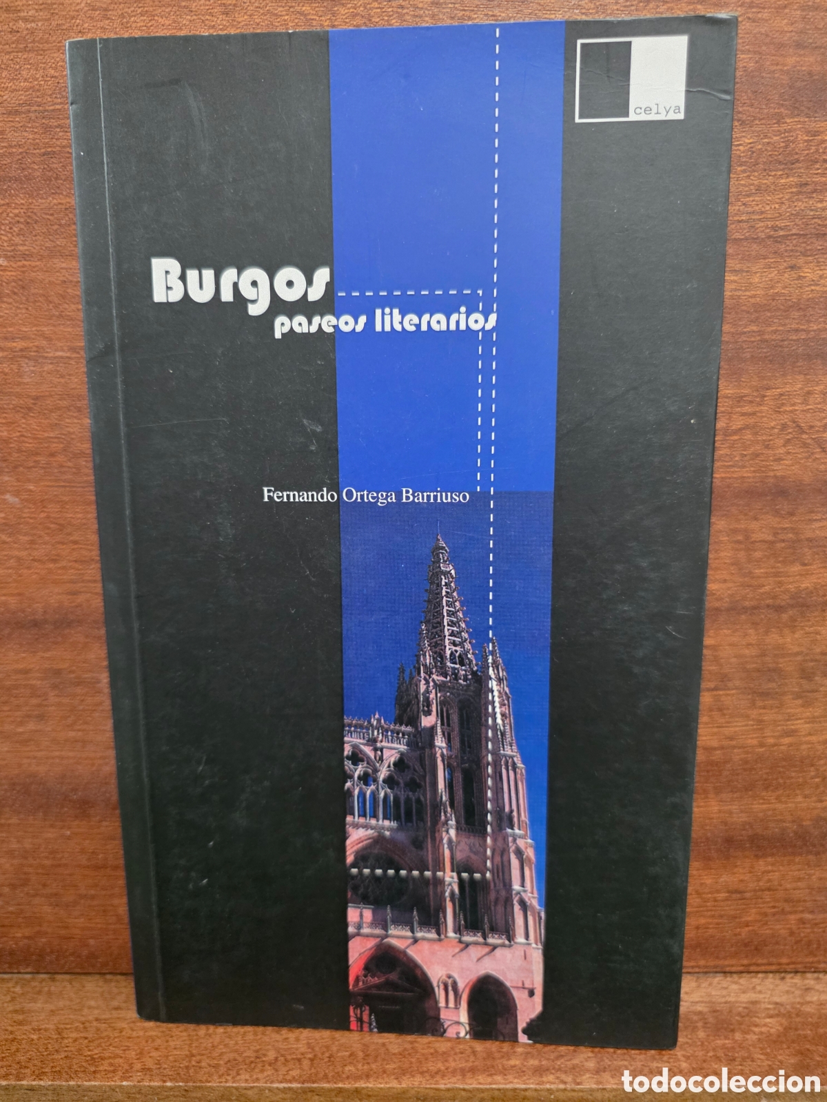 Libros de segunda mano: &rdquo;&rdquo;BURGOS, PASEOS LITERARIOS&rdquo;&rdquo;...FERNANDO ORTEGA BARRIUSO...CELVA...2002...