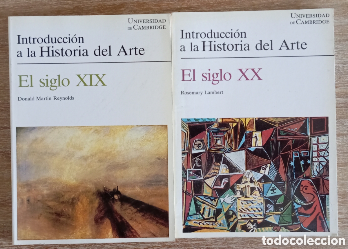 Libros de segunda mano: INTRODUCCION A LA HISTORIA DEL ARTE EL SIGLO XIX Y EL SIGLO XX