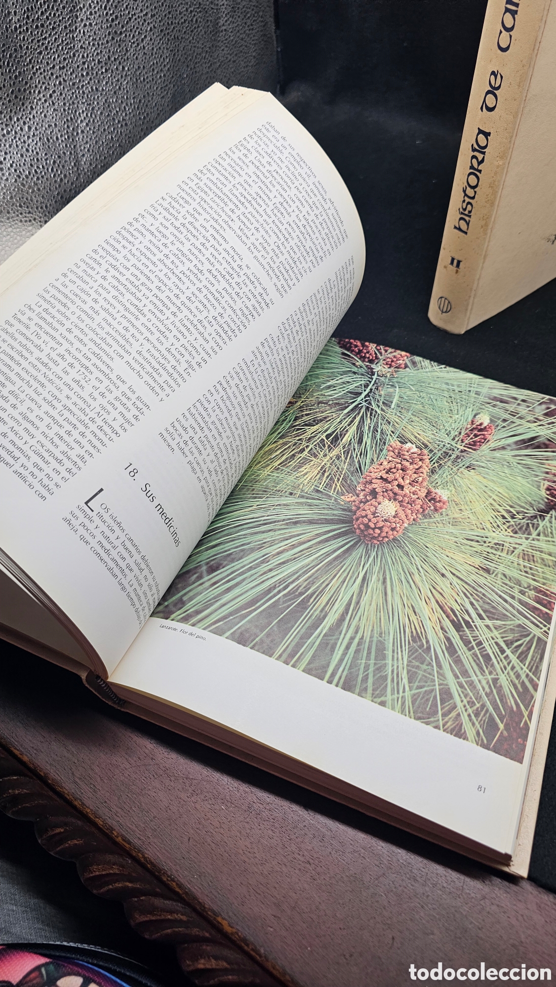 Libros de segunda mano: Historia de Canarias 1978 - Foto 8