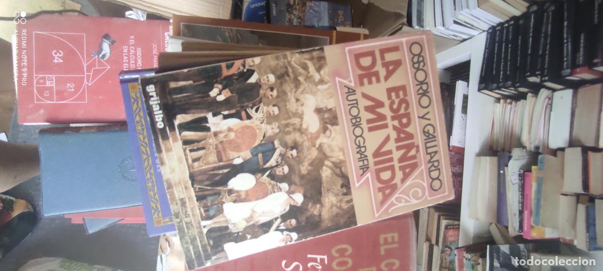 Libros de segunda mano: LA ESPA&Ntilde;A DE MI VIDA, Autobiograf&iacute;a de Ossorio y Gallardo.