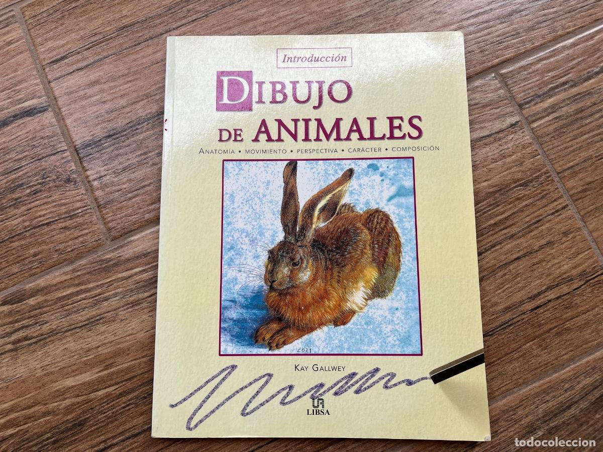 Libros de segunda mano: Dibujo de Animales: Anatom&iacute;a, Movimiento, Perspectiva, Car&aacute;cter y Composici&oacute;n - Kay Gallwey - Libsa