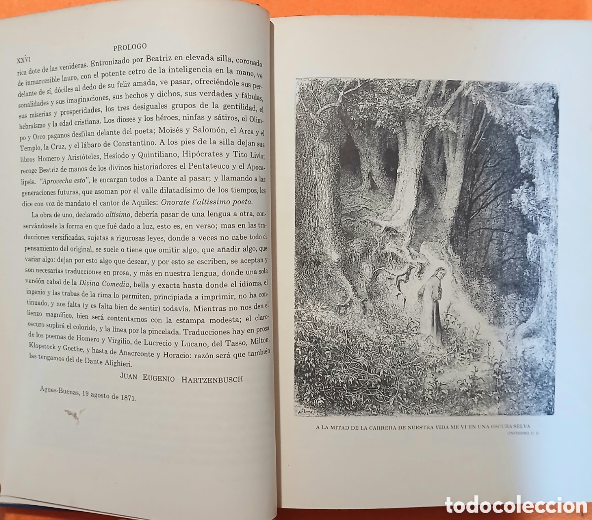 Libros de segunda mano: La divina comedia por Dante Alighieri - Foto 7