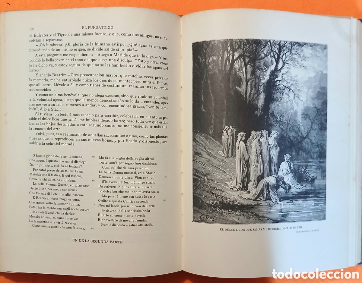 Libros de segunda mano: La divina comedia por Dante Alighieri - Foto 13