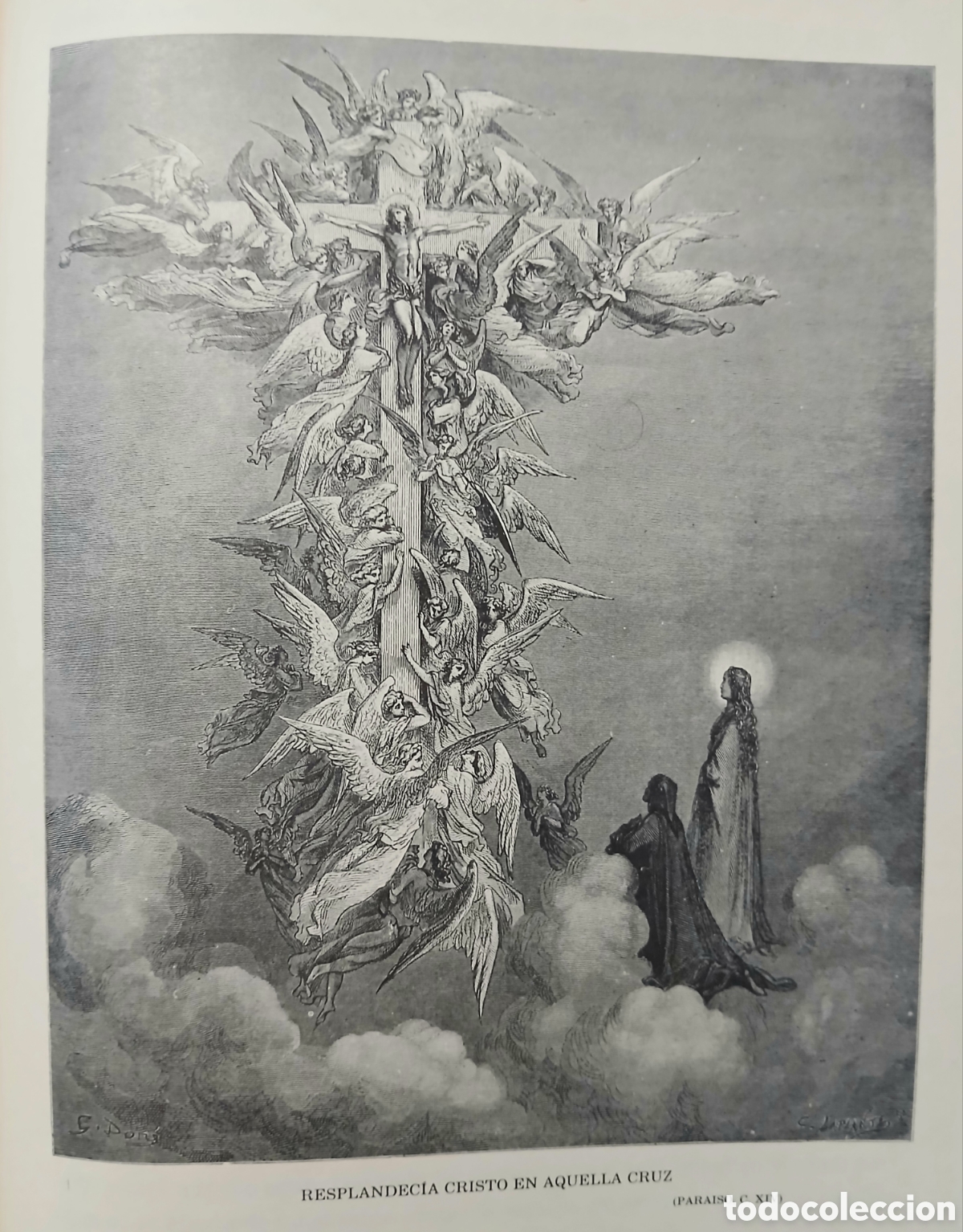 Libros de segunda mano: La divina comedia por Dante Alighieri - Foto 16