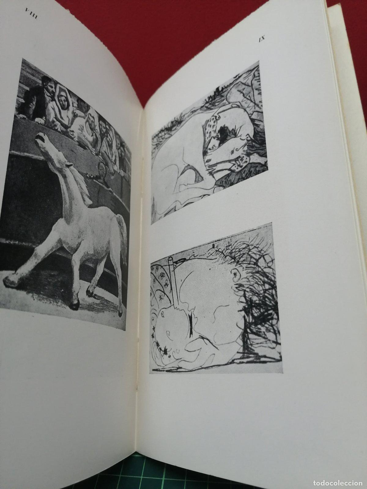 Libros de segunda mano: Picasso y el toro - Vicente Marrero - Foto 2