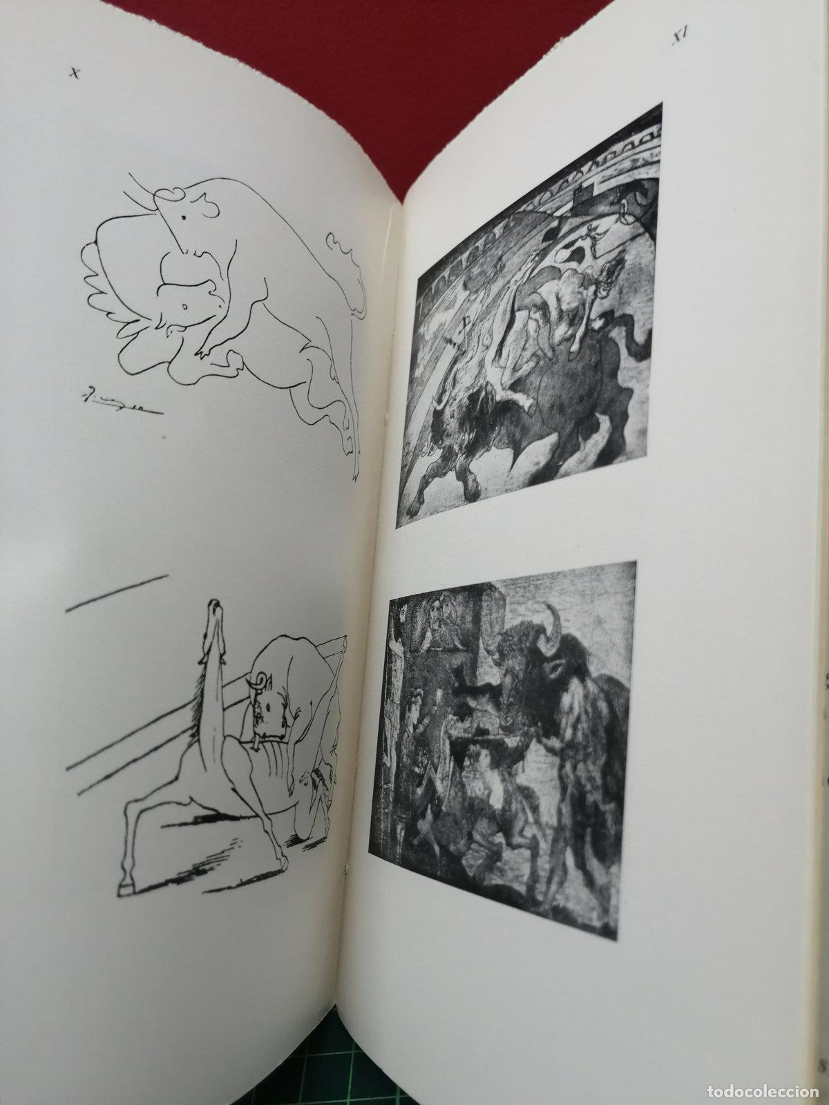 Libros de segunda mano: Picasso y el toro - Vicente Marrero - Foto 3