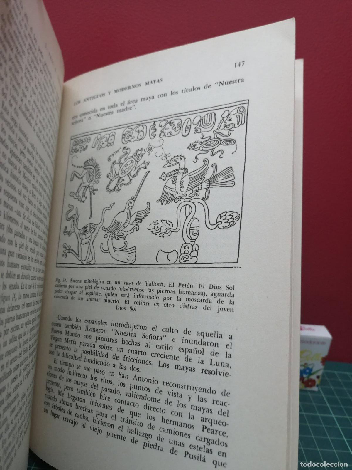 Libros de segunda mano: Arque&oacute;logo maya - J. Eric S. Thompson - Foto 2