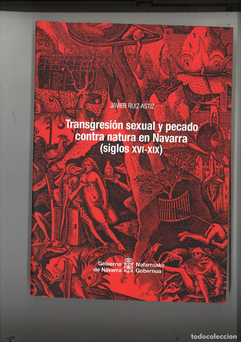 Libros de segunda mano: TRANSGRESION SEXUAL Y PECADO CONTRA NATURA EN NAVARRA (SIGLOS XVI-XIX). Javier Ruiz Astiz