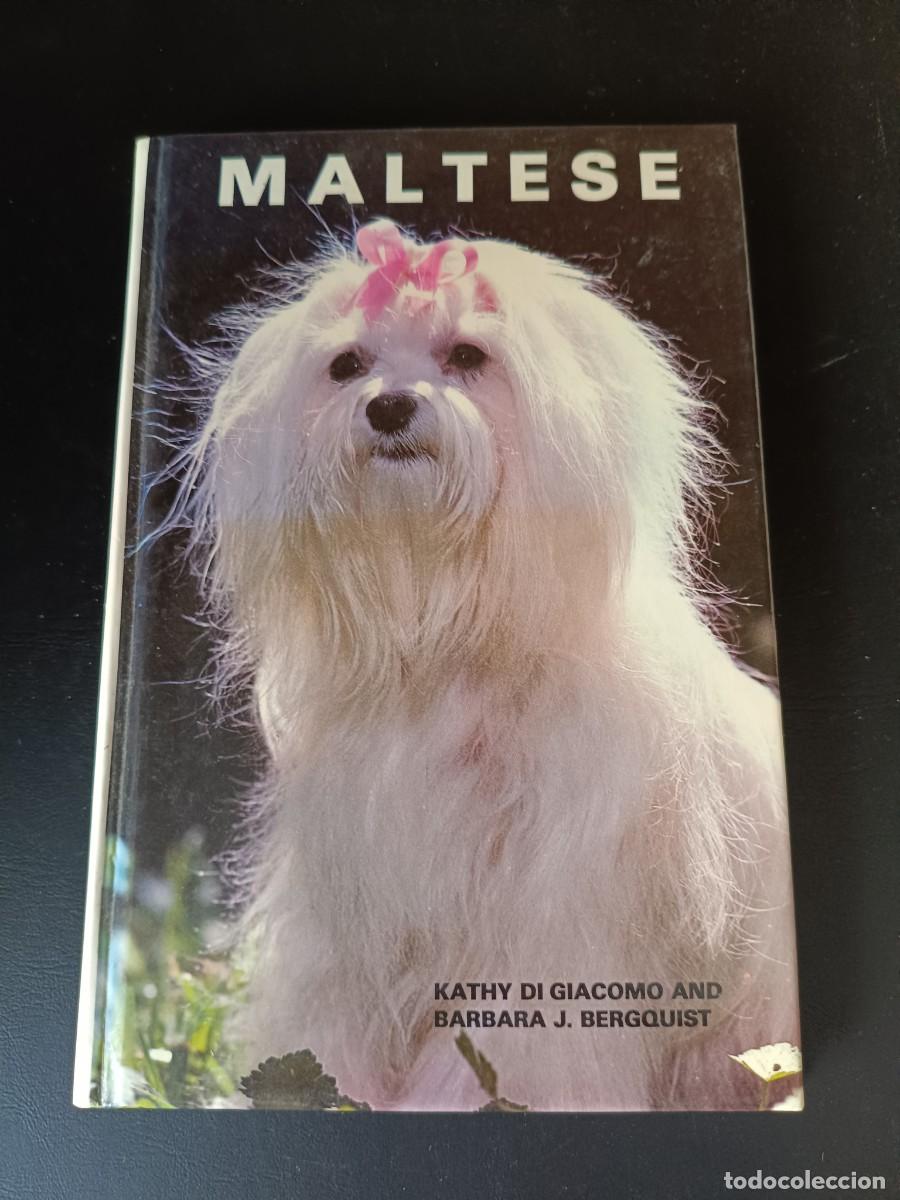 Libros de segunda mano: Maltese y escrito por Kathy Di Giacomo y Barbara J. Bergquist
