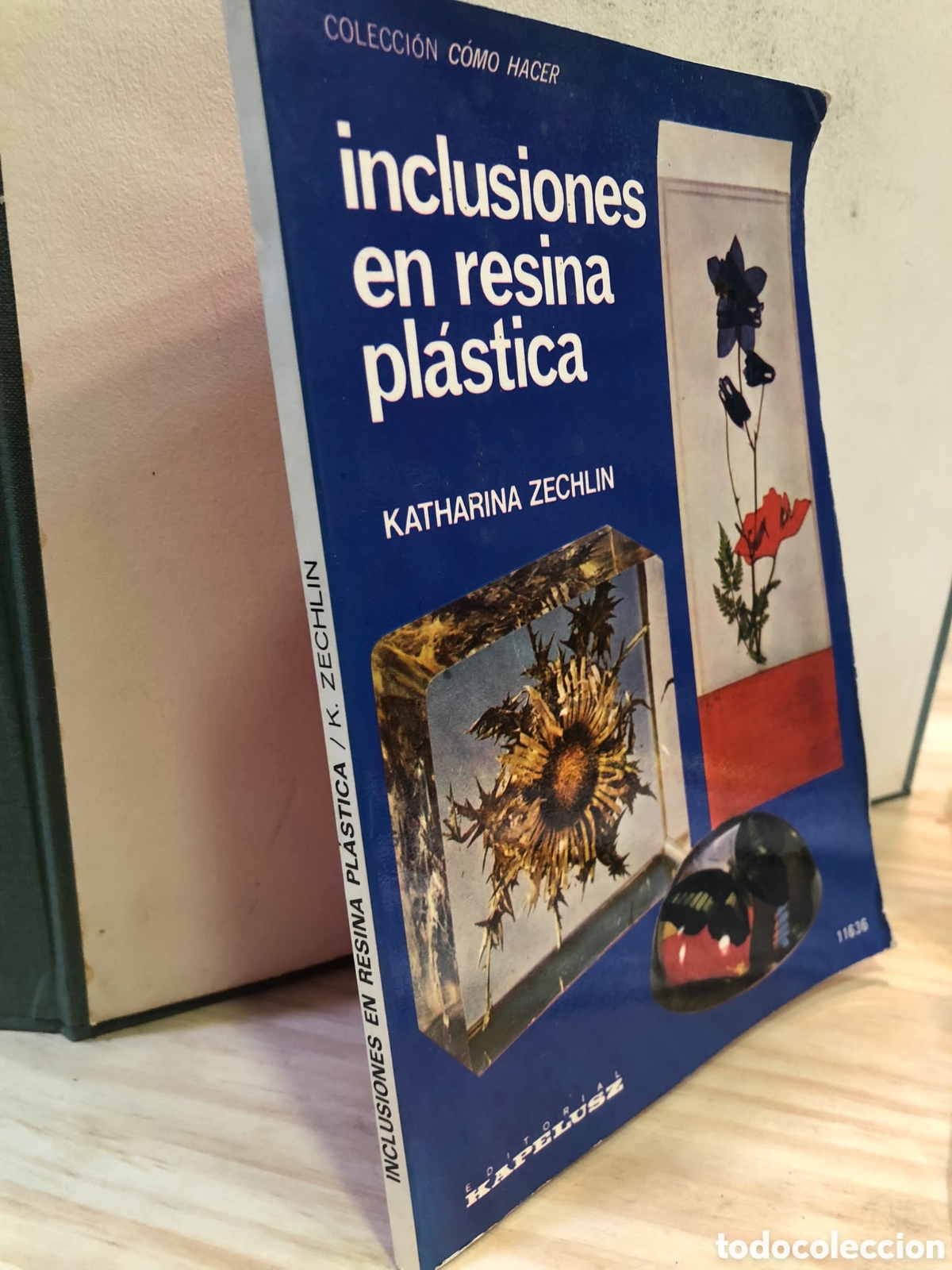 Livres d'occasion: Inclusiones en resina pl&aacute;stica - Katharina Zechlin