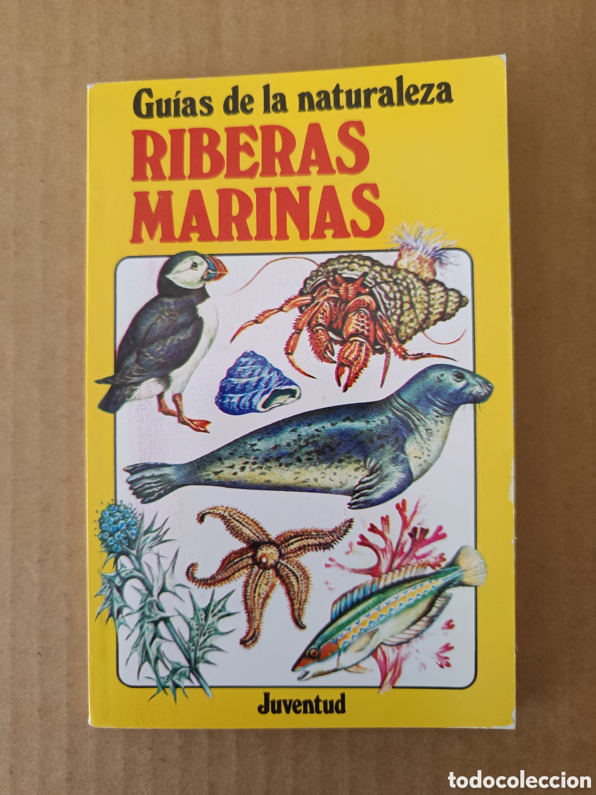 Libri di seconda mano: Gu&iacute;as de la Naturaleza: Riberas Marinas (Juventud, 1987). Por Su Swallow y John Barber.