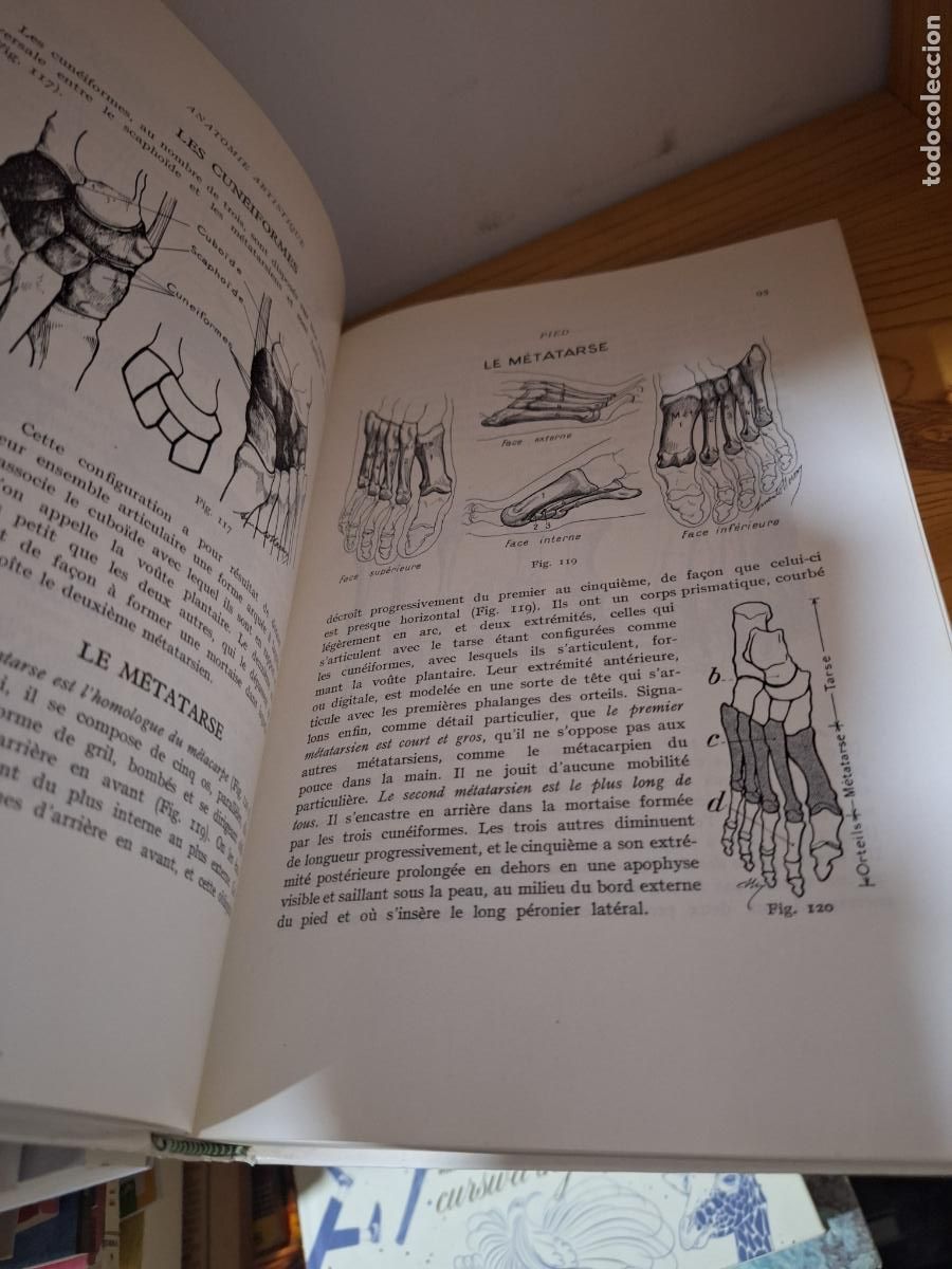 Libros de segunda mano: Anatomie Artistique - Arnould Moreaux - Foto 3